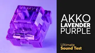 AKKO LAVENDER PURPLE Ultimate Sound Test | The Go-to Tactile switch!