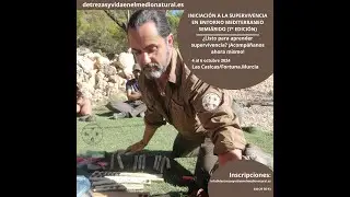 ¿Podrías sobrevivir solo en la naturaleza? 🌲 ¡Descúbrelo ahora!