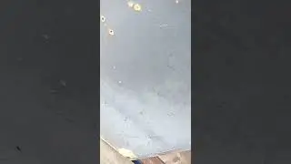 17 мая 2024 г.