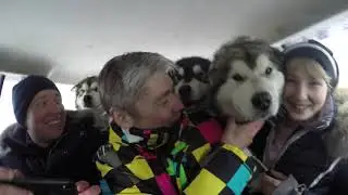 Отзыв наших посетителей