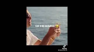 motivation-мотивация