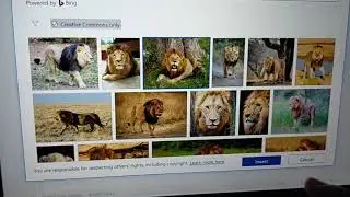 How to insert picture in word document(ipad)
