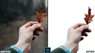 Focus Area تعلم التحديد بواسطة||Focus Area Selection Adobe Photoshop