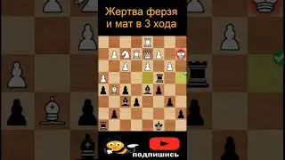 Жертва ферзя и мат в 3 хода #shorts #chess #шахматы