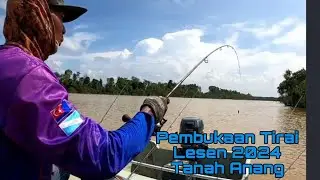 mancing udang galah tanah Abang Pembukaan tirai 2024#fishing,#aksiyangmendebarkan