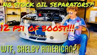 Shelby American GT350 Oil Separator Unboxing & Installation