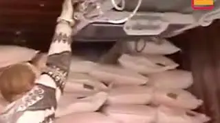 Мешкозагрузчик в автотранспорт и контейнера