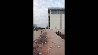 feeding the maya birds