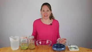 Mache mit! Sprossen ziehen im selbst gemachten Sprossenglas