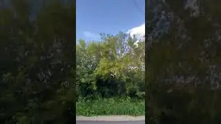 16 июля 2023 г.