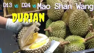 D13 VS D24 VS Mao Shan Wang Durian | Musang King 榴莲 | Sầu Riêng