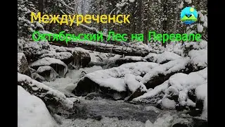 Природа Междуреченска. На перевале. Прогулка по первому снегу.