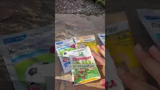 Какие бывают средства от сорняков и как правильно выбрать?🌱ответ УСАДЬБА-СЕМЕНА | usadba-semena.ru