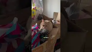 НАС ОБМАНУЛИ и оставили на улице💔🤢