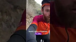 Strada della Flora - la mia forestale preferita 😍