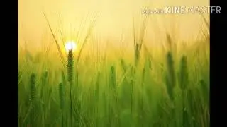 А.ВИВАЛЬДИ.ВЕСНА.Из концерта "Времена года" для скрипки.