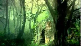 Omnia - Pagan Polska (Cybershaman Remix - by Fortress)