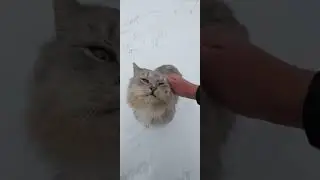 Красота русской деревни!
