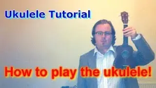 Play Hundreds of Songs With Just Three Chords! (Ukulele Lesson)