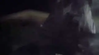 Xavier Wulf  - 