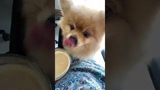 Бася полюбила кофе!
