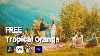 50 Free Tropical Orange Luts | How To Use Luts In Adobe Premiere Pro