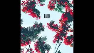Hodei - Elaura