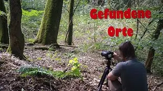 Waldfotografie- Gefundene Orte