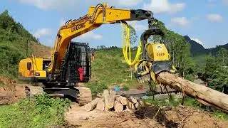 The wood cutting machine cuts down the eucalyptus trees in the mountains very efficiently.