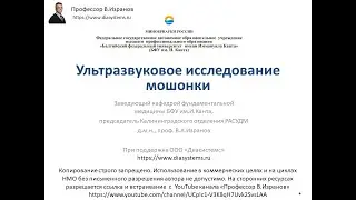 Ультразвуковое исследование мошонки