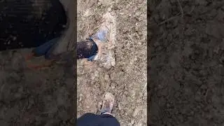 Motivational Muddy Trail Run
