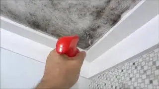 REMOVA O MOFO RAPIDAMENTE - MUITO FÁCIL !