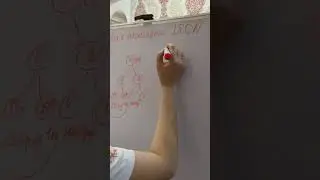 19 декабря 2020 г.