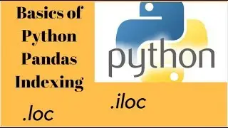 Basics of Python Pandas Indexing with .loc and .iloc: