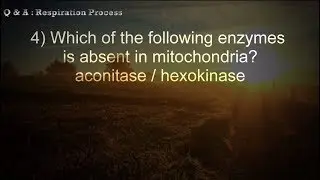 Respiratory Process| 50+ Objective Questions asked in various exams | Objective biology