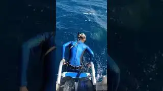 Жиза!))) Будьте осторожны при выборе автомобиля!