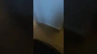 Cat said meow