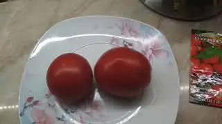 Tomato-f1 Krivyansky 