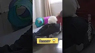Пометил своего человека 😱