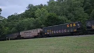 Chessie System CSX Heritage unit in Creigsville VA on July 21st 2024