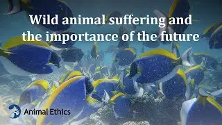 Wild animal suffering and the importance of the future