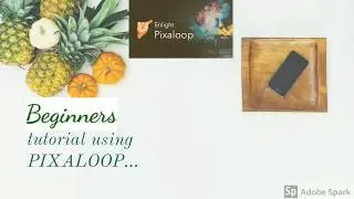 PIXALOOP Beginner tutorial |
