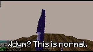 So my minecraft glitched lol