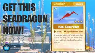 DAVE THE DIVER Rarest Seahorse | How to get Ruby Seadragon 