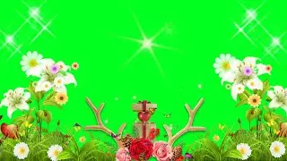 🎆 Happy🎊 New  🎉Year🎈  Green 🥳 Screen 2022 🥳