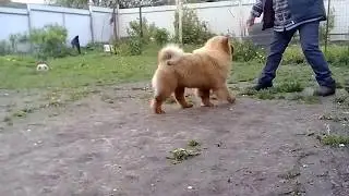 VID 20170601 0945101