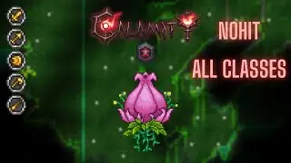 Terraria Calamity: Plantera Master Death Mode No Hit All Classes