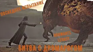 ПОСЛЕДНЕЕ ИСПЫТАНИЕ В ХОГВАРТС ЛЕГАСИ. БИТВА С ДРОМАРОГОМ HOGWARTS LEGASY.