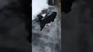 навалило🤠🤠🤠!!!