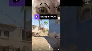 ЧБД?\ monyameow | monyameow с помощью #Twitch